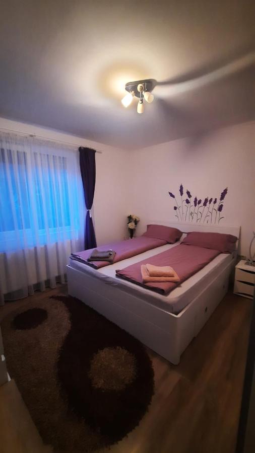 “Home Sweet Home” Sîntandrei Dış mekan fotoğraf
